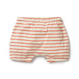 Wilson & Frenchy petit rouge bloomer shorts available from www.thecollectivenz.com