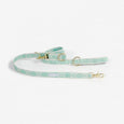 Out of the box Teal & Cream leash