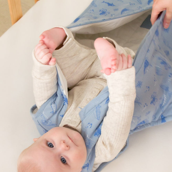 Woolbabe Duvet Front Zip Sleeping Bag - Glacier Sail Away