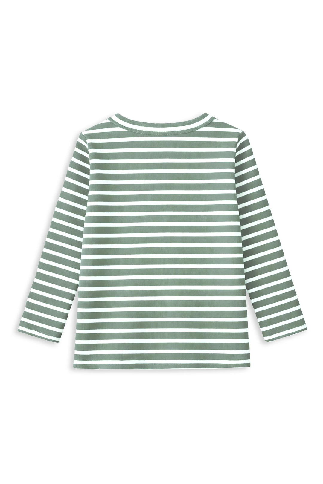 Fern Stripe Henley