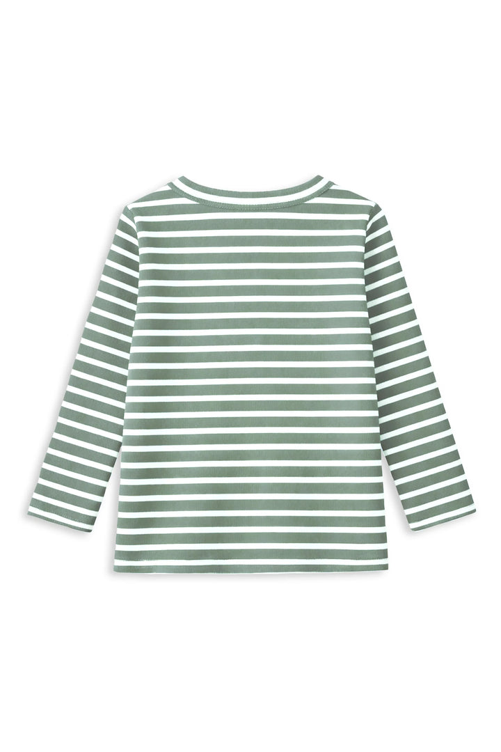 Fern Stripe Henley