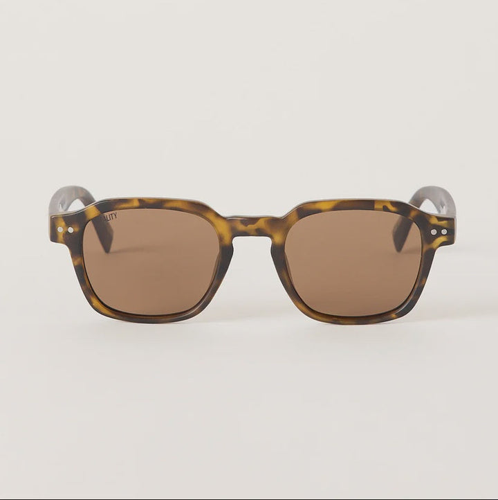 A pair of square sunglasses with a brown and black tortoiseshell acetate frame and brown tinted lenses, shown against a solid off-white background.