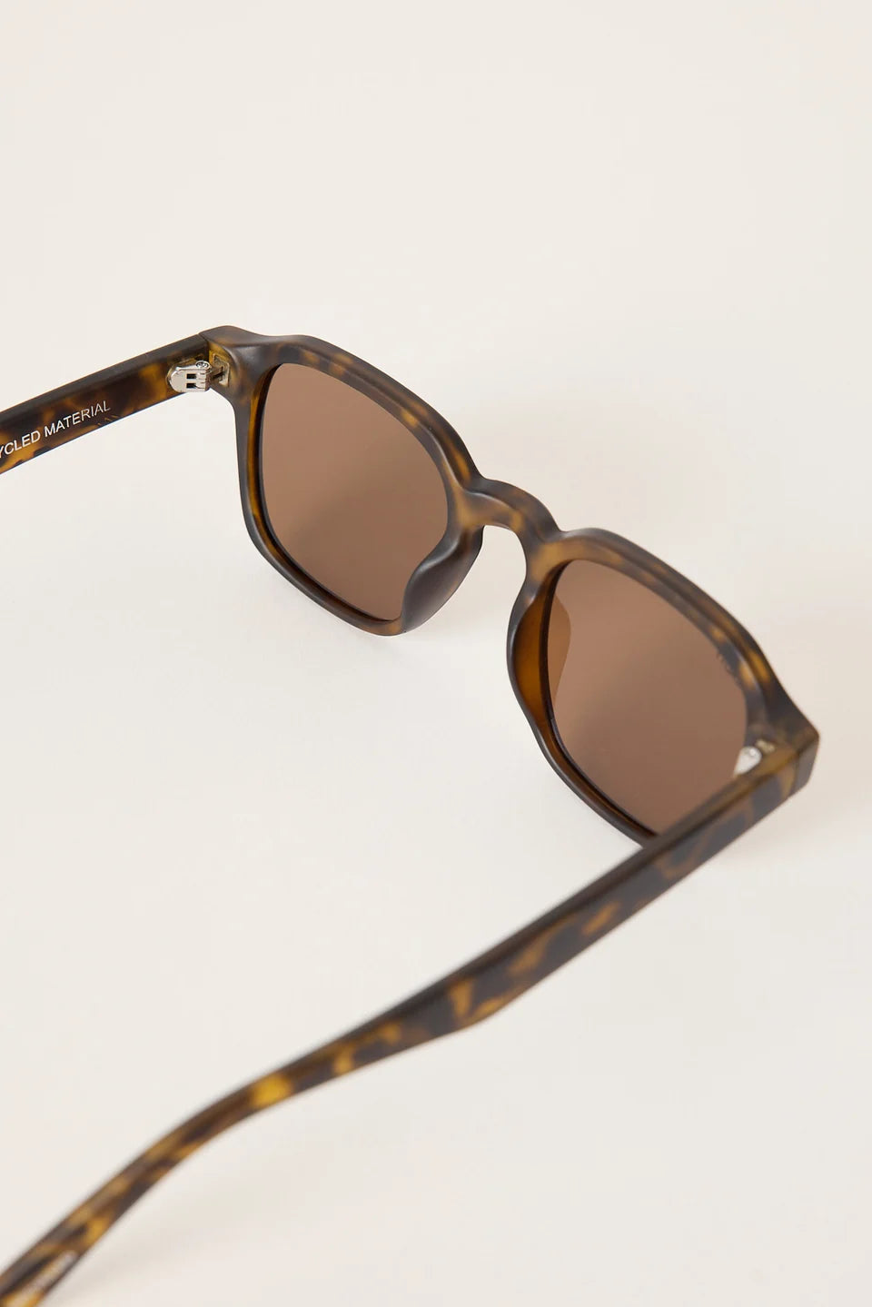 Carter Jett Turtle Sunglasses | Reality