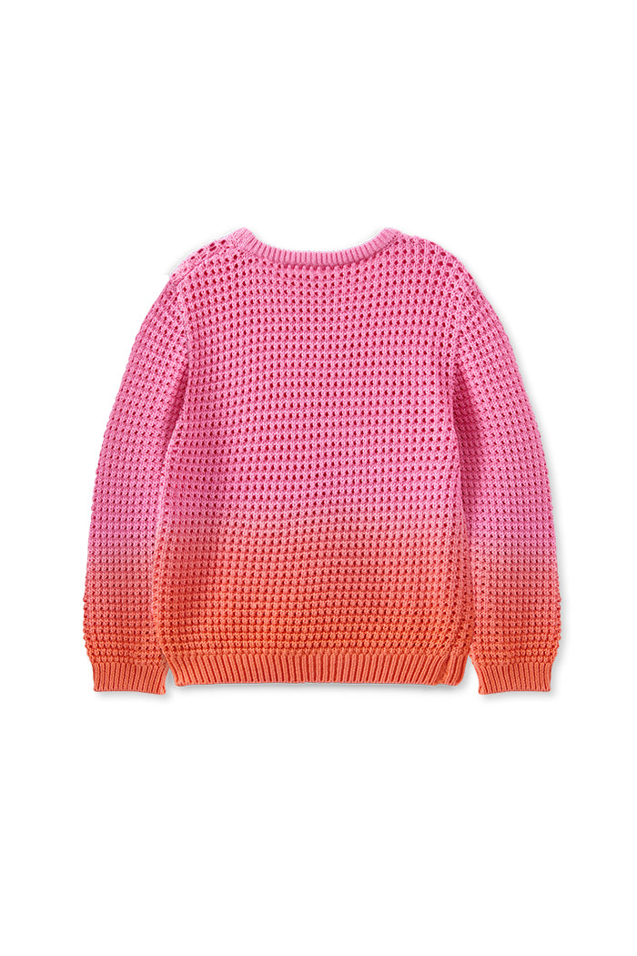Elevate your little one’s style this season with the Milky Clothing Rainbow Knit Jumper. Available from www.thecollectivenz.com
