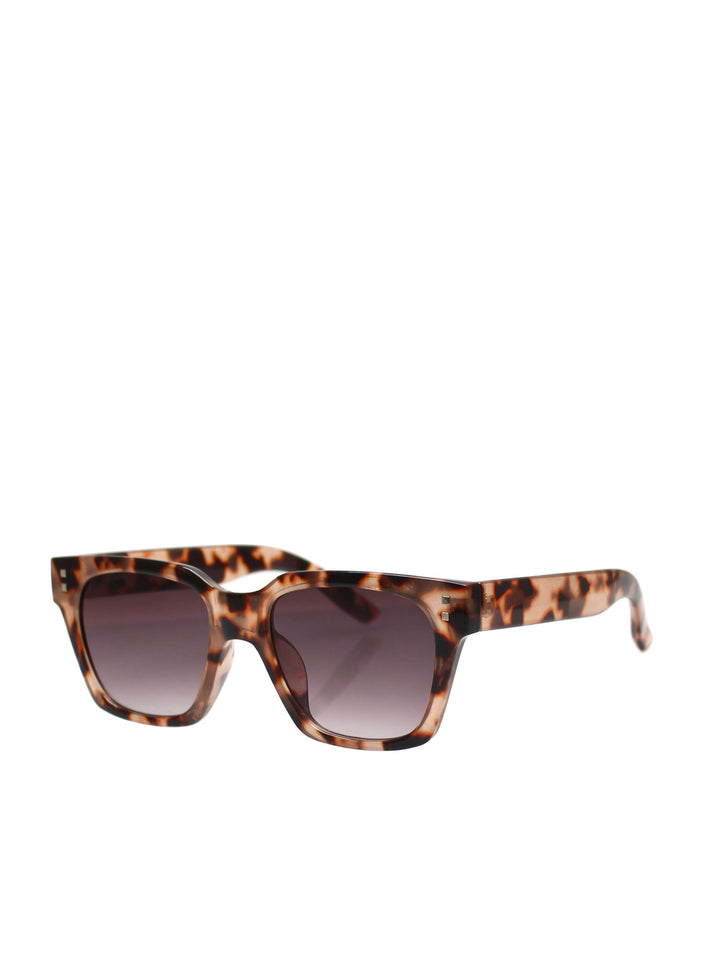Reality mocca anvil sunglasses available from www.thecollectivenz.com