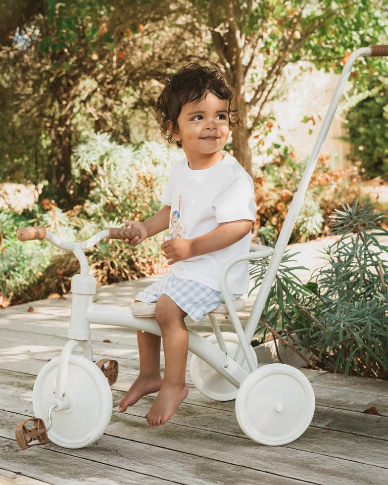 Axel Check Short - Sky Check