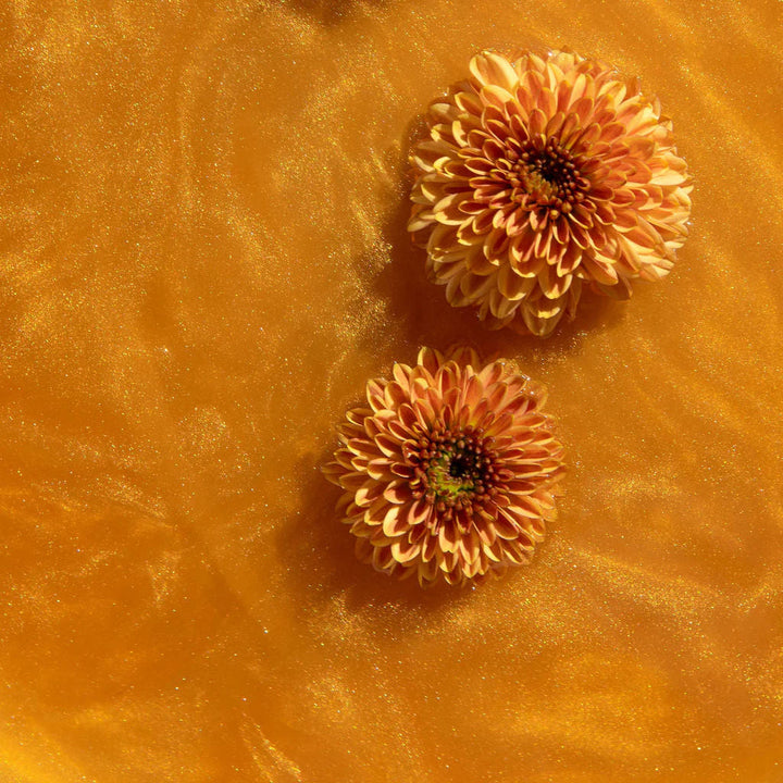 Escape the everyday with Golden Daydream, a captivating tea crafted from powdered chrysanthemum and mesmerising, 100% edible glitter dust. Available from www.thecollectivenz.com