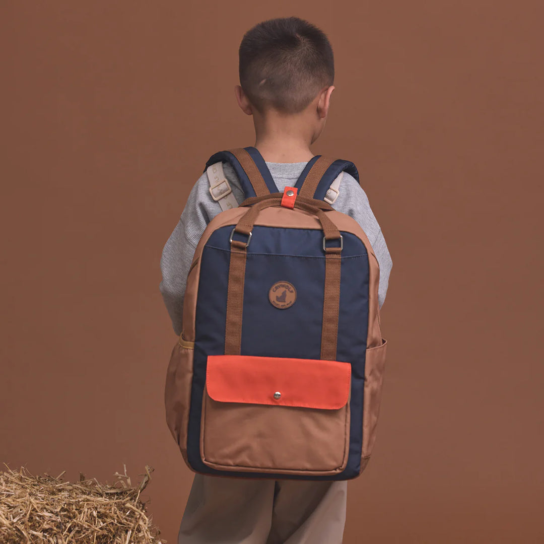 Knapsack - Ash Colourblock