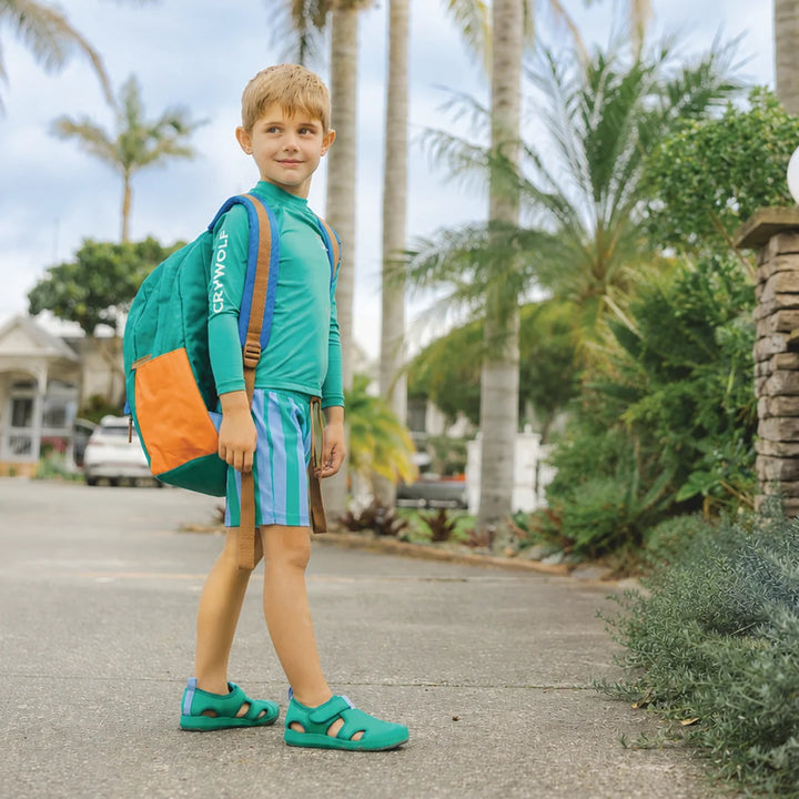 Board Shorts Deck Stripe | Crywolf