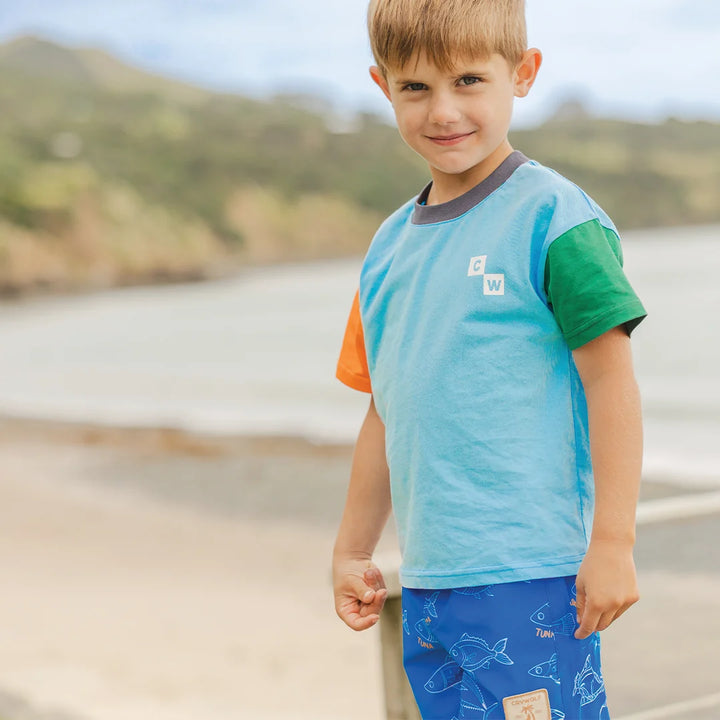 Board Shorts Saltwater | Crywolf