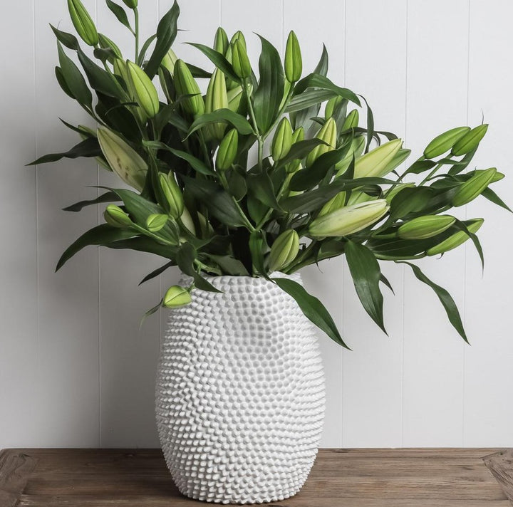 Ivory House mode porci vase available from www.thecollectivenz.com