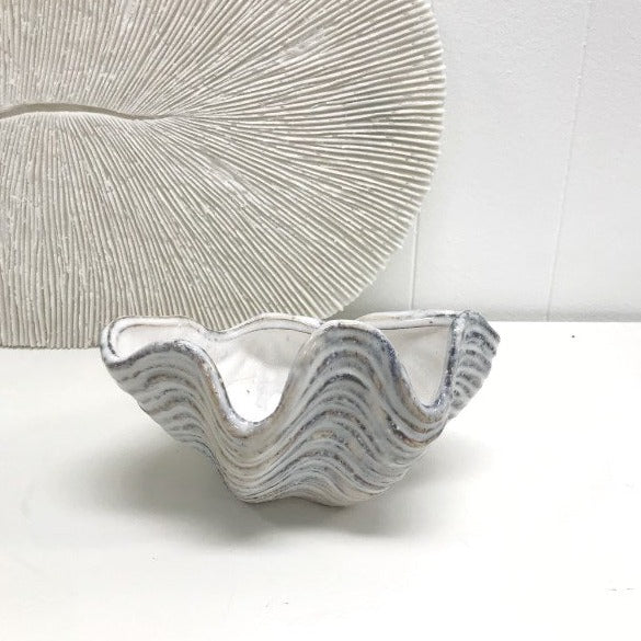 Ivory House mode clam shell available from www.thecollectivenz.com