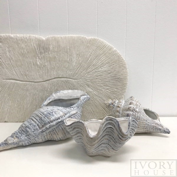 Ivory House mode clam shell available from www.thecollectivenz.com