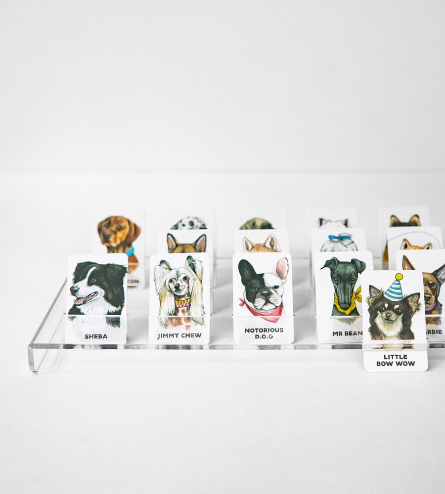 Journey of something guess the doggy available from www.thecollectivenz.com