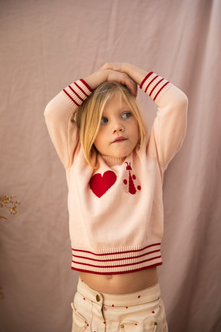 Little Ladybug Jumper-Piggy Pink