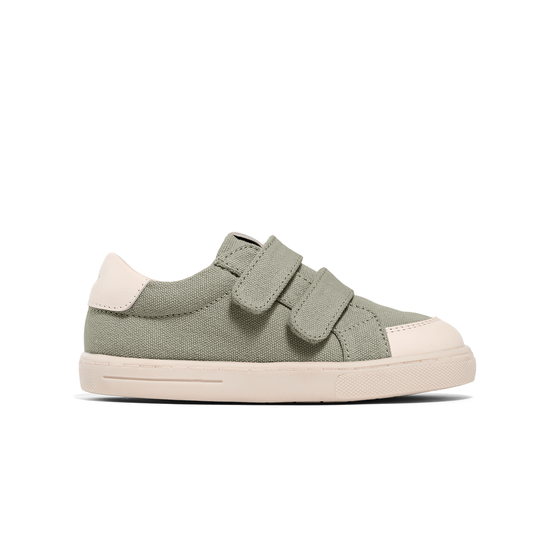 Pretty brave otto canvas sneaker available from www.thecollectivenz.com