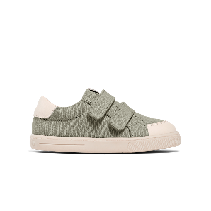 Pretty brave otto canvas sneaker available from www.thecollectivenz.com