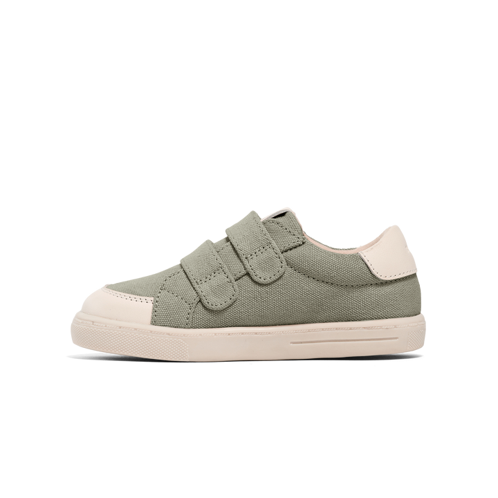Pretty brave otto canvas sneaker available from www.thecollectivenz.com