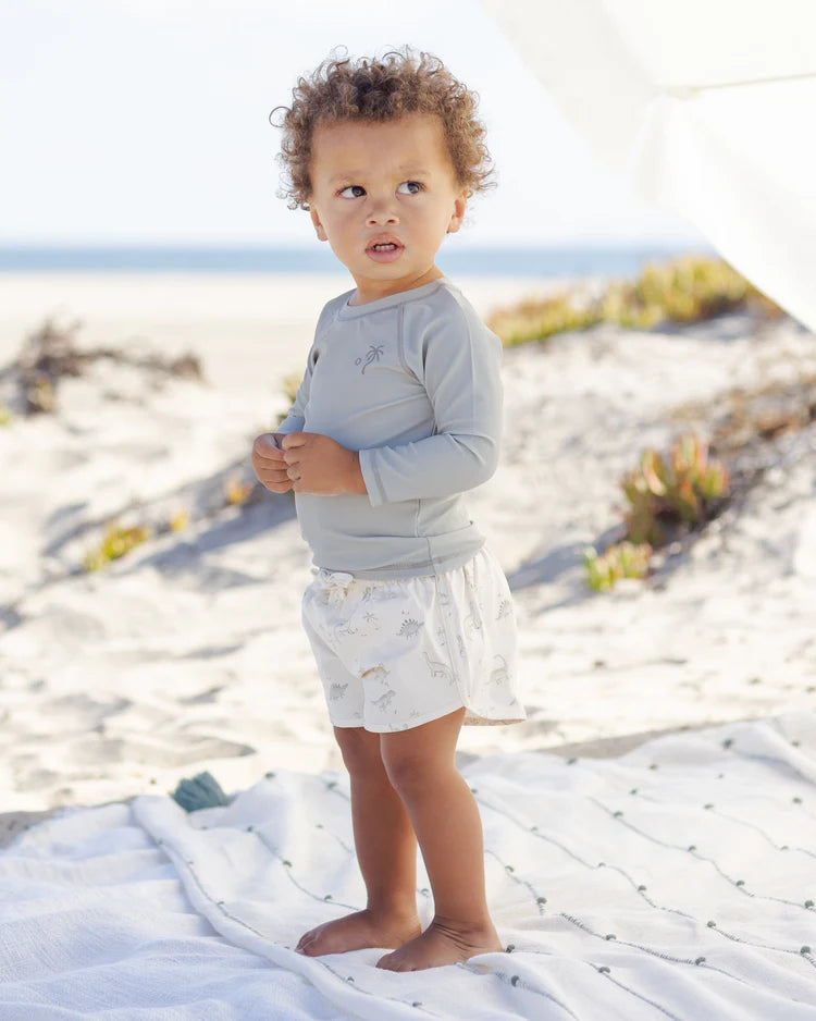 Boys Swim Short || Dinosaur