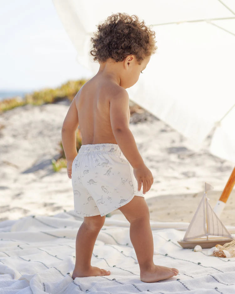 Boys Swim Short || Dinosaur