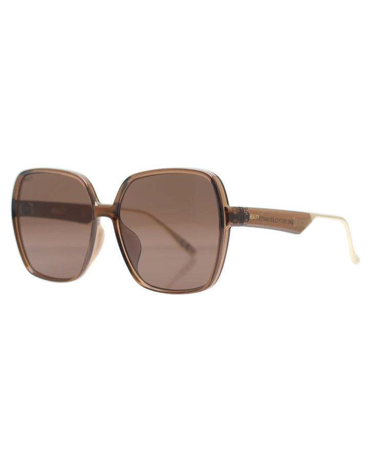 Dominique Chocolate Sunglasses | Reality