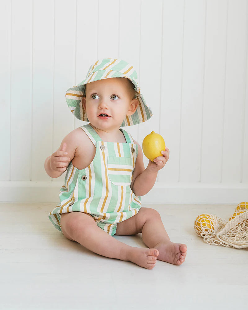 Surfs up Stripe Overall