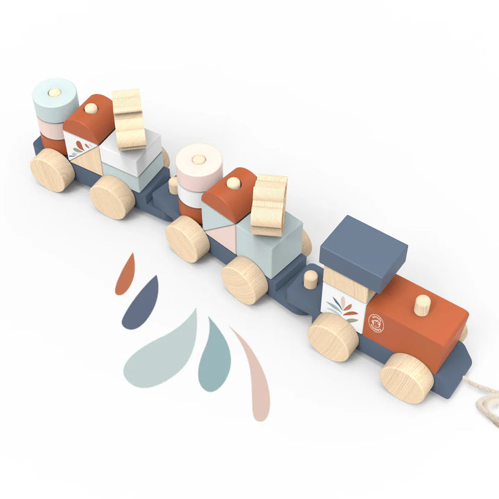 Wooden toy train with colorful cars on a white background