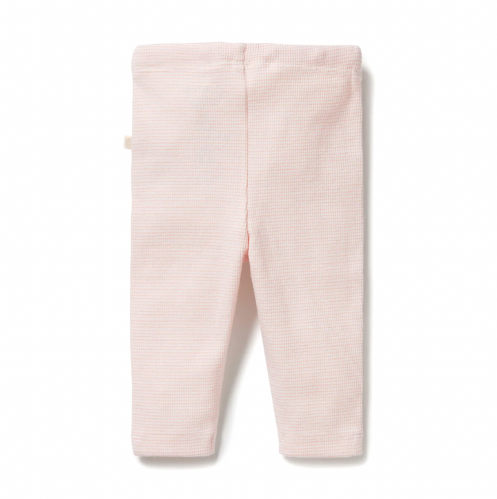 Wilson & Frenchy cantaloupe ribbed leggings available from www.thecollectivenz.com