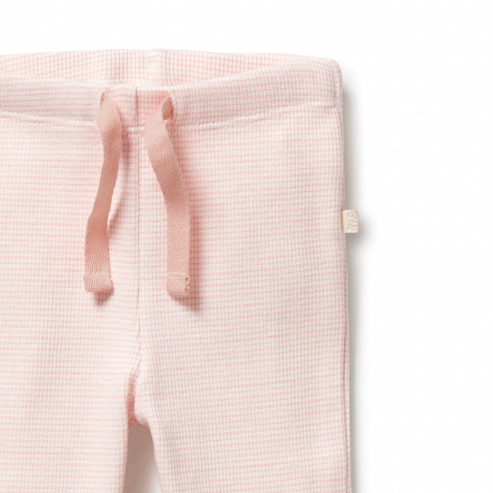 Wilson & Frenchy cantaloupe ribbed leggings available from www.thecollectivenz.com
