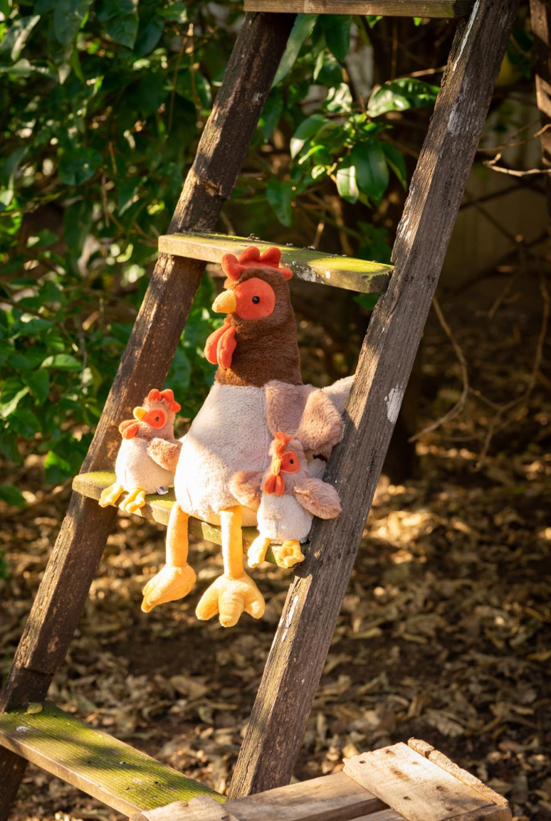 Randy the Rooster from Nana Huchy is a beautiful soft toy rooster perfect for children of all ages! A sweet gift for a new baby, toddler or child to love, available from www.thecollectivenz.com