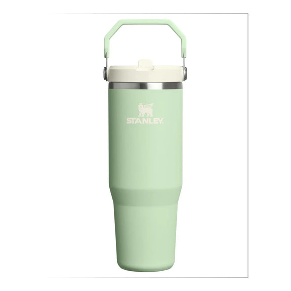 Stanley IceFlow Flip Straw Tumbler |  30 OZ Pistachio