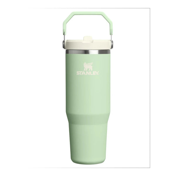Stanley IceFlow Flip Straw Tumbler |  30 OZ Pistachio