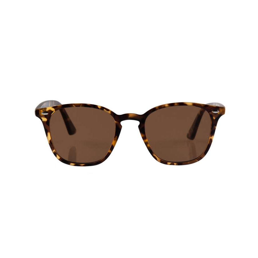 Tortoiseshell sunglasses with brown lenses, shown from a front-facing perspective on a solid white background.