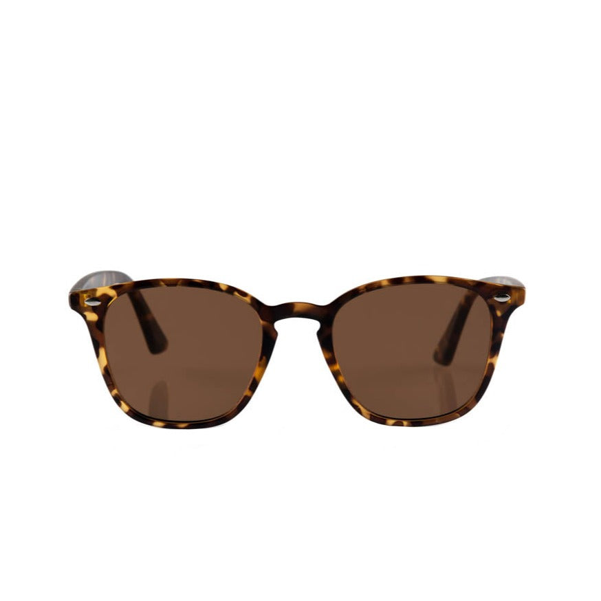 Reality the chelsea sunglasses available from www.thecollectivenz.com