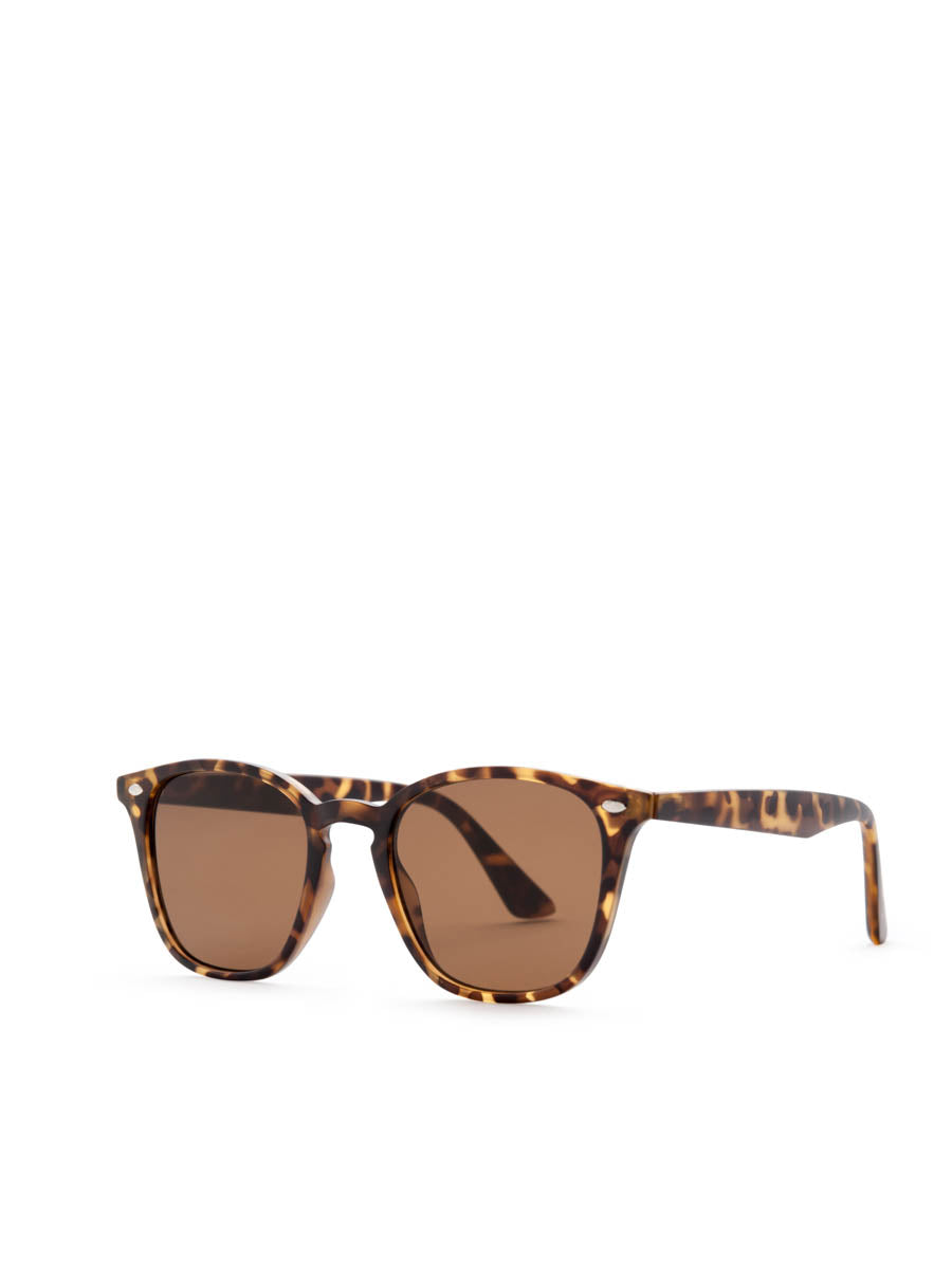 Reality the chelsea sunglasses available from www.thecollectivenz.com