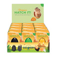 Display box of 'Dinosaur Hatch It!' product with colorful eggs and packaging.