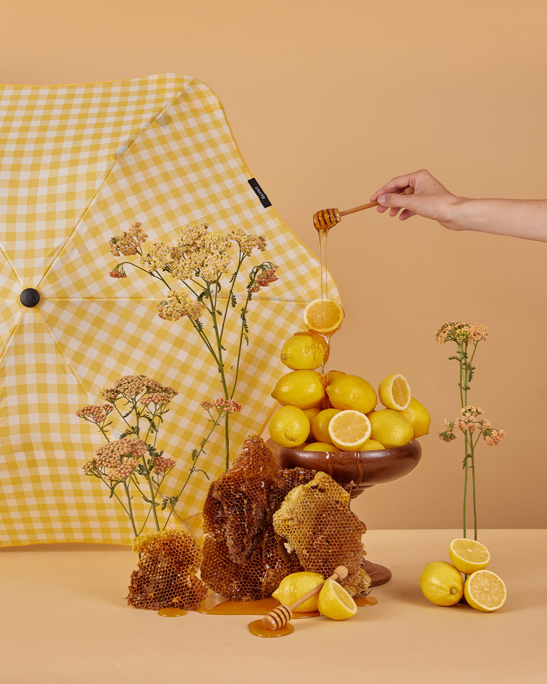 Blunt metro lemon & honey umbrella available from www.thecollectivenz.com