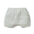 Wilson & Frenchy petit blue bloomer shorts available from www.thecollectivenz.com