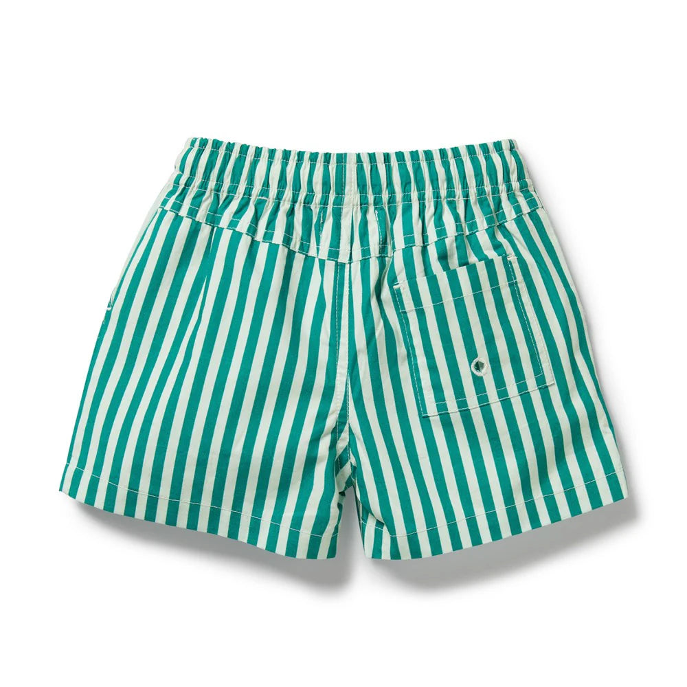 Green and white striped shorts on a white background