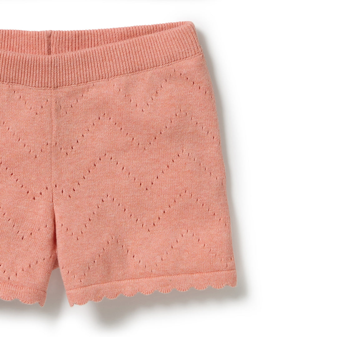 Petal Pink Knitted Pointelle Set | Wilson & Frenchy