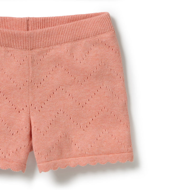 Petal Pink Knitted Pointelle Set | Wilson & Frenchy