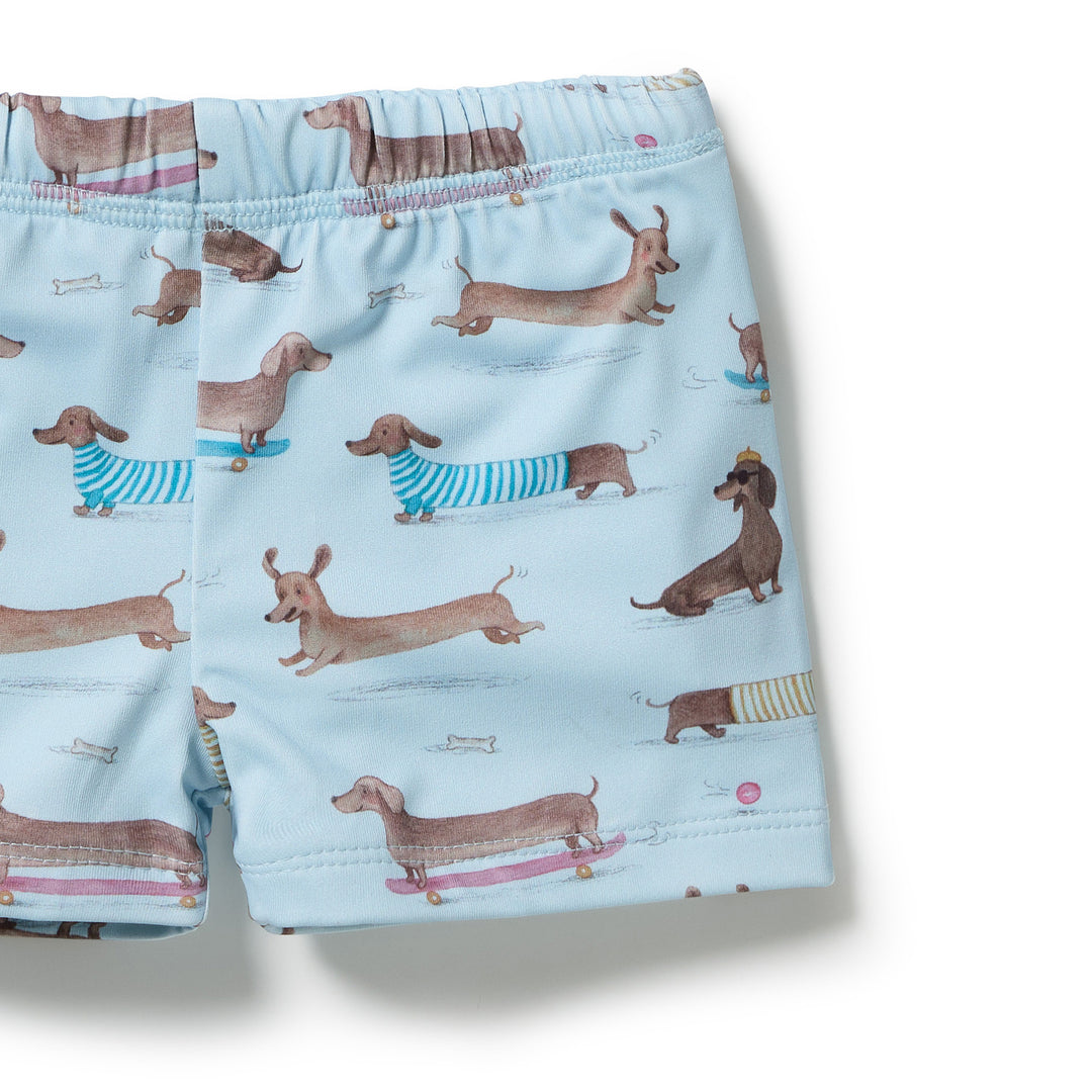 Dashing Rashie Swim Set | Wilson & Frenchy