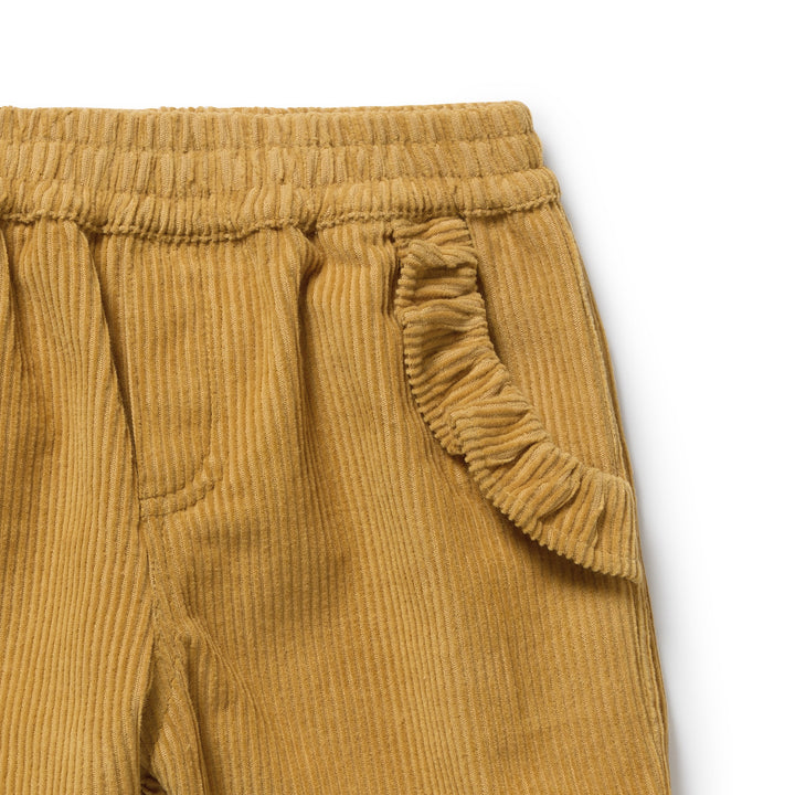 Amber Glow Organic Cord Pant
