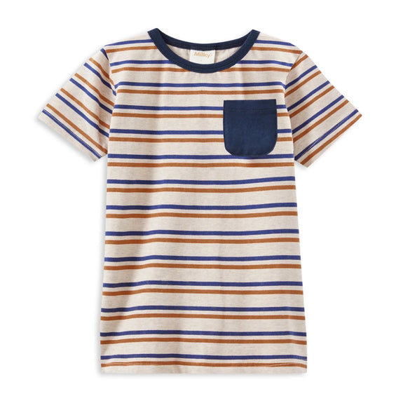 Striped t-shirt with a pocket on a white background