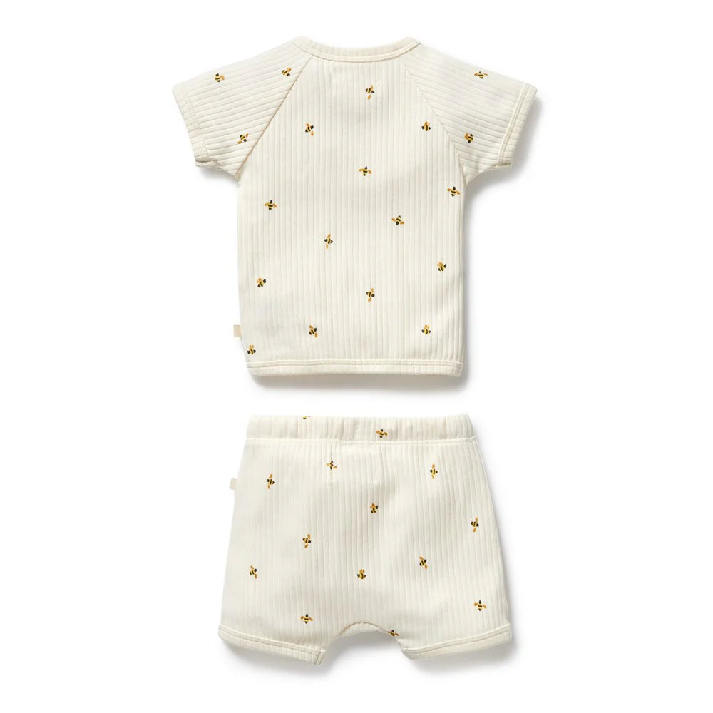 Wilson & Frenchy Baby outfit set with top and shorts on a white background