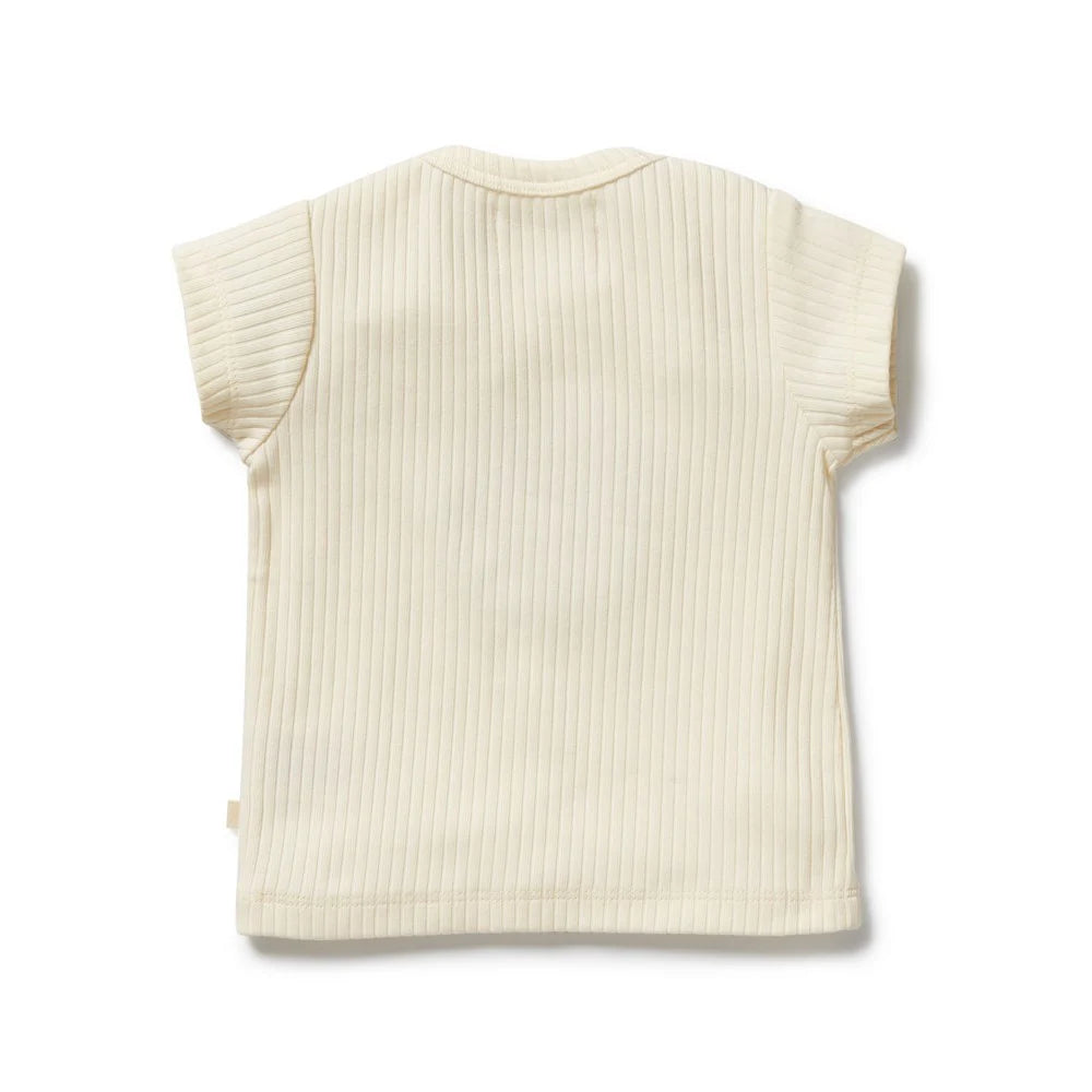 Beige ribbed sleeveless vest on a white background