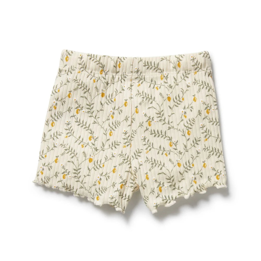 Wilson & Frenchy Floral patterned shorts on a white background
