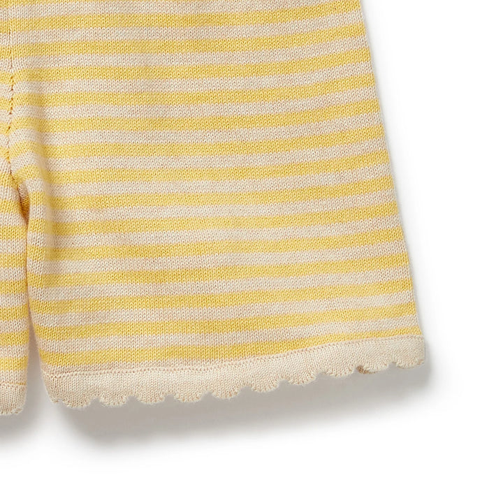Close-up of a yellow and white striped fabric with scalloped edge on a white background