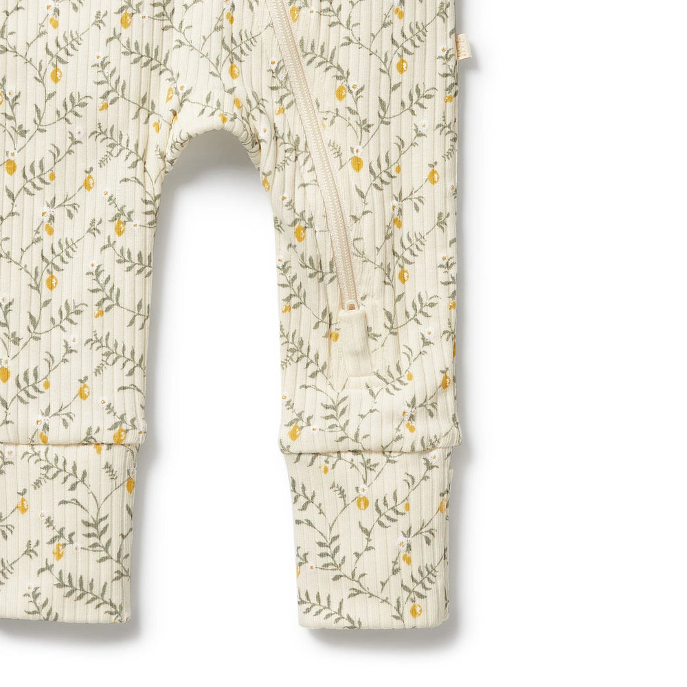 Floral-patterned baby carrier with a white background