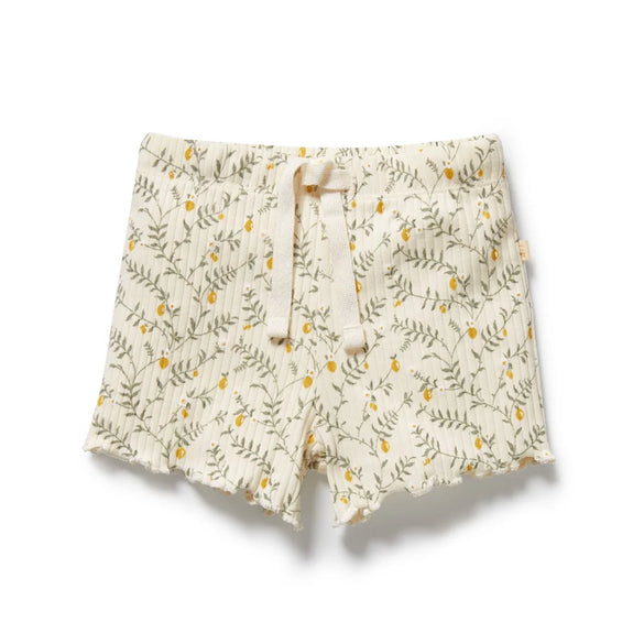 wilson & frenchy Floral patterned shorts on a white background